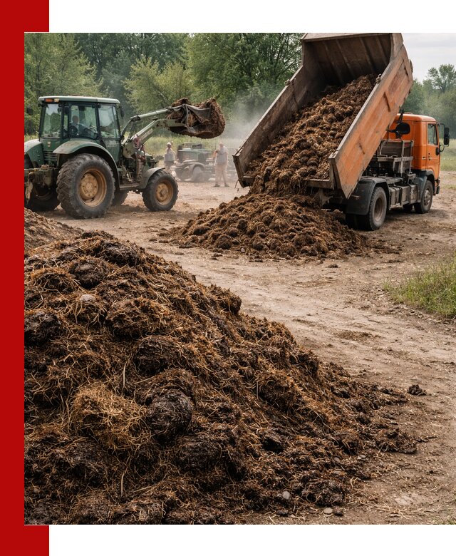 Доставка навоза самосвалами в Киржаче для сельхозпотребностей